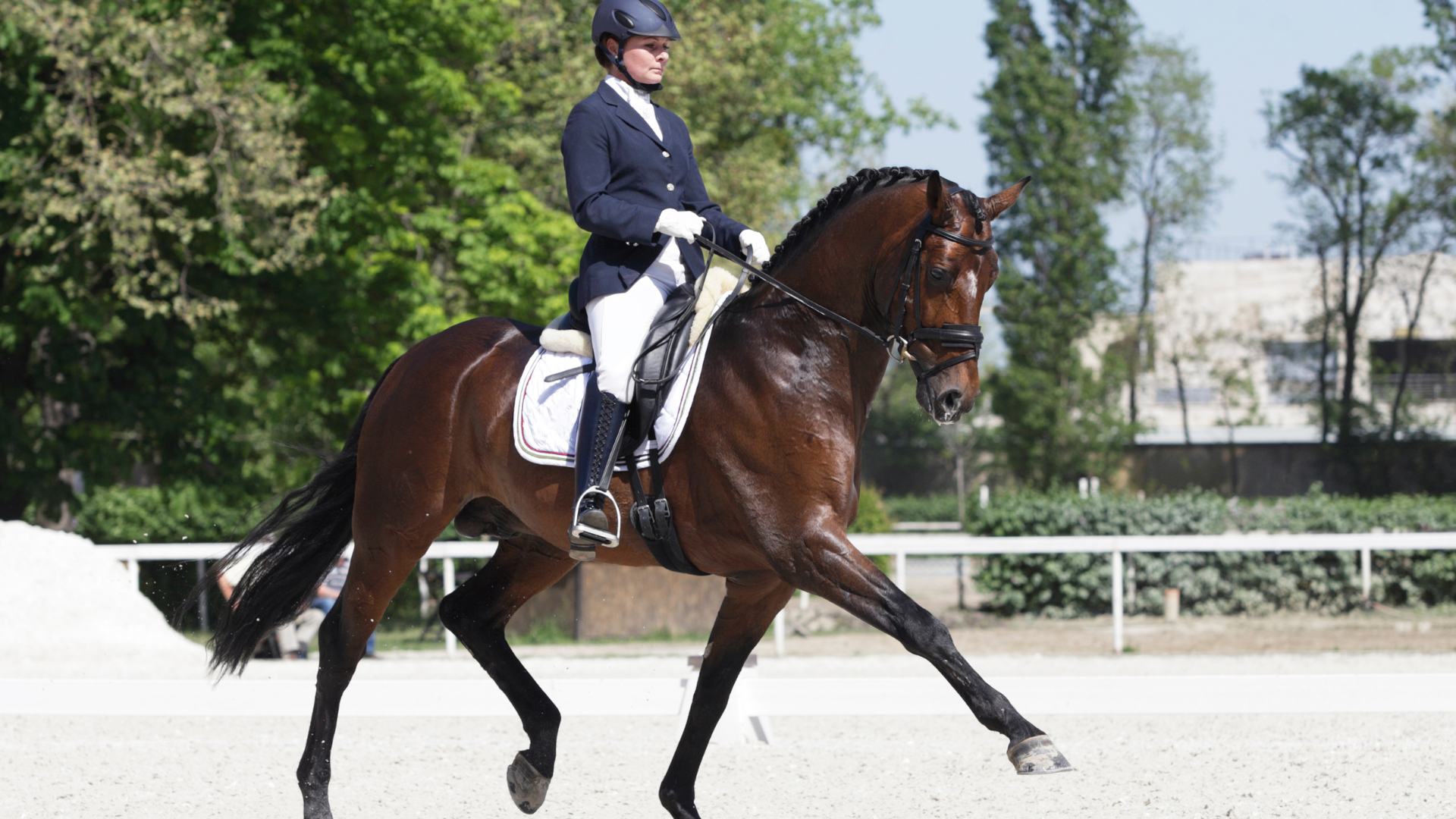 Dressage